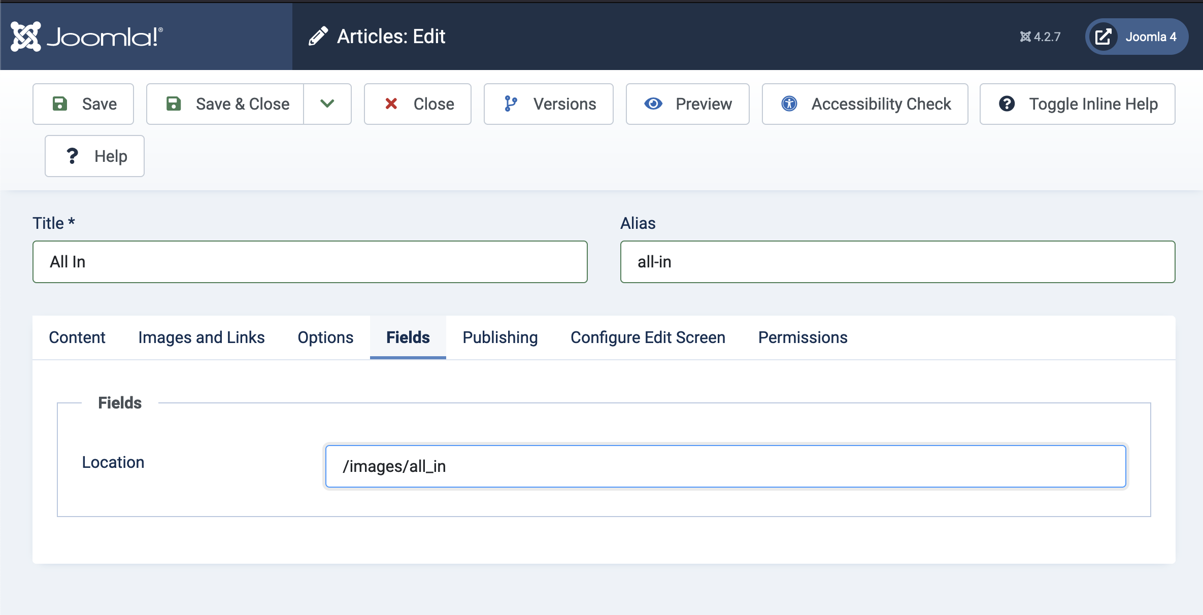 Joomla 4 Article Fields showing the Location Field as Text Field Type
